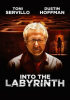 Into_the_Labyrinth